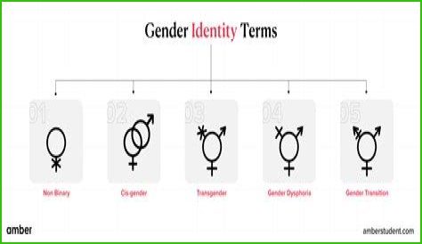 Understanding Gender Identity: The Case Of Brittney Griner's Biological Sex